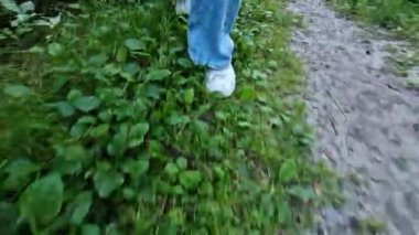 Beyaz spor ayakkabılarla ormanın zemininden yürüyen kadın bacakları. Yaz yürüyüşü. Doğa yürüyüşü. Parkta yürüyen bacaklar. Ön manzara. Akşam yürüyüşü temiz havada