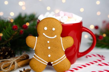 Masanın üzerinde marşmelov ve zencefilli kurabiye olan bir fincan lezzetli ev yapımı sıcak çikolata. Noel Baba için Noel hediyesi. Yakın plan..