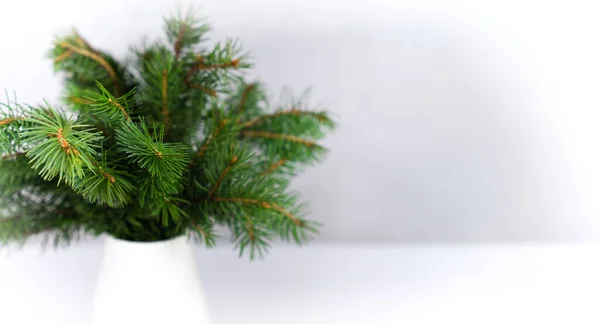 Groene Sparren Takken Een Witte Vaas Tafel Kerstdecor Een Close — Stockfoto