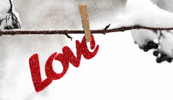 Любовне Повідомлення Висить Сніговій Гілці Концепція Валентинового Дня Банер Зблизька — стокове фото