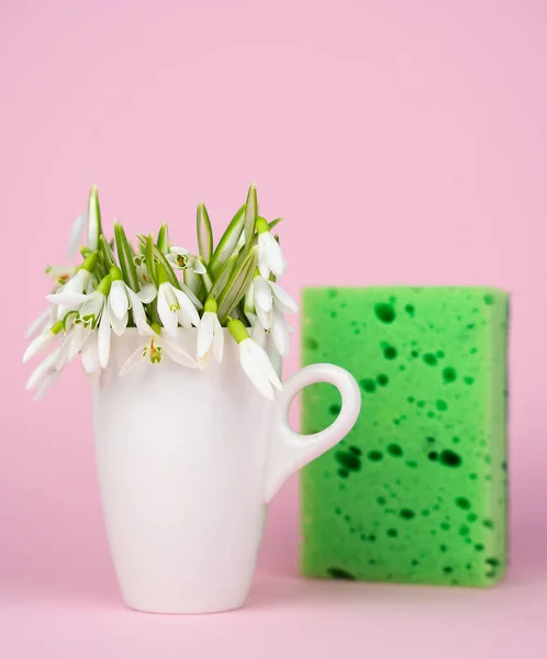 Minimalist composition with spring flowers and kitchen sponge on a pink background. Cleaning concept. Close-up. Selective focus.