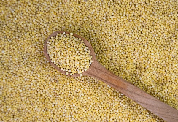Millet Groats Wooden Spoon Scattered Grains Millet Banner Top View — Stock Photo, Image