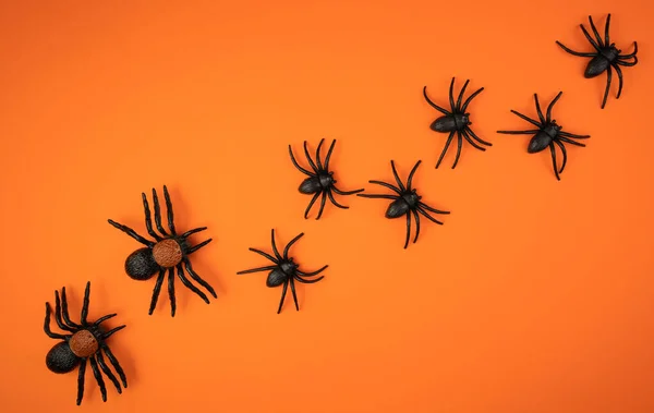 Composition Halloween Black Spiders Orange Background Banner Flatlay Copy Space — Stock Photo, Image