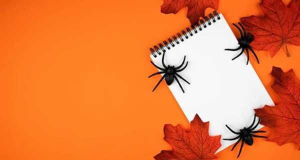 Boş Defteri Örümcekler Turuncu Arka Planda Sonbahar Yaprakları Cadılar Bayramı — Stok fotoğraf