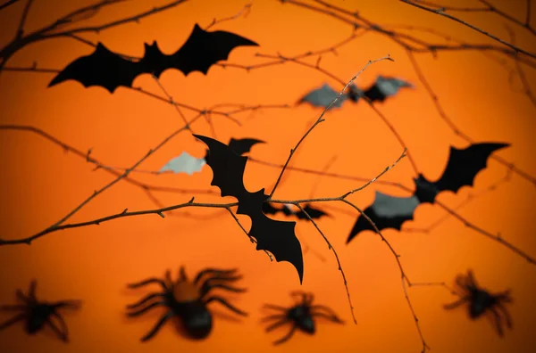 Halloween Hintergrund Mit Spinnen Fledermäusen Auf Orangefarbenem Hintergrund Nahaufnahme Selektiver — Stockfoto