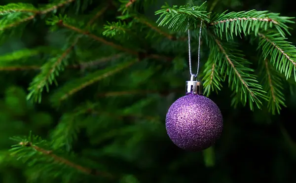 Christmas Shiny Ball Fir Branch Christmas Background Close Copy Space — Stock Photo, Image