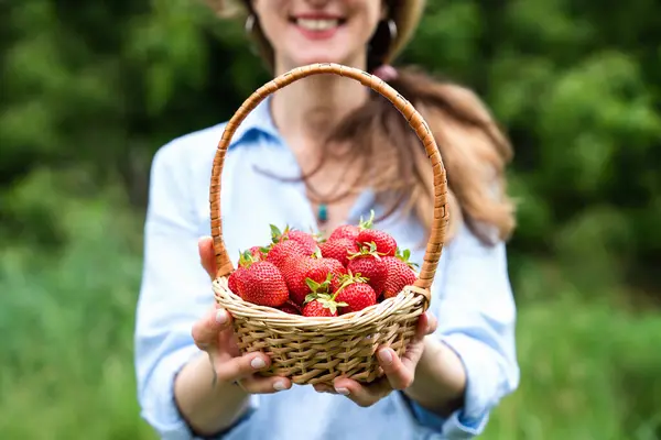 笑顔の若い女性は彼女の手に熟したイチゴのバスケットを持っています イチゴを収穫する クローズアップ ストック画像