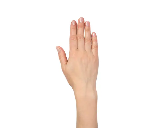 Beyaz arka planda nötr manikürlü hassas kadın eli..