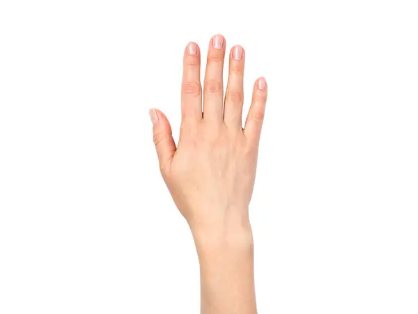 Beyaz arka planda nötr manikürlü bir kadın eli var..