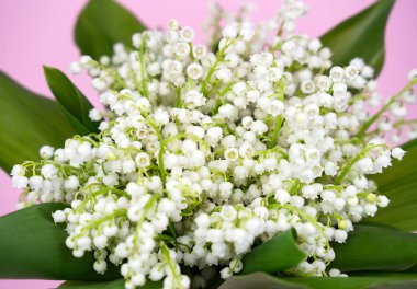 Bir buket taze vadi zambağı. Yakın plan. Seçici odak.