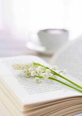 Açık kitap ve vadinin taze zambakları. Bahar havası. - Günaydın. Seçici odak.
