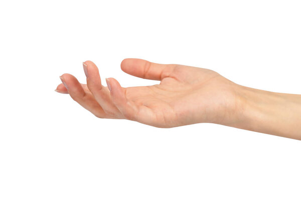 Young woman's hand isolated on white background. Close-up.