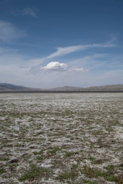 Washoe Gölü Parkı yüksek çöl manzarasında mavi gökyüzü gününde bir bulut ve Nevada, ABD 'de yeşil çimenler bulunur. Dikey bileşim