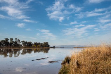 Grizzly Slough, a canal in the  Suisun Marsh near Grizzly Island road on a partly cloudy day with blue sky copy-space. This is part of the largest blackish water marsh on the West Coast USA