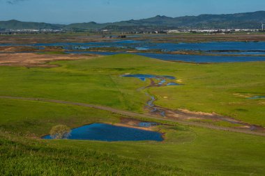 Fairfield, Kaliforniya 'daki yeşil tarlaların pastoral manzarası, açık gökyüzü yağmurlu bir günde çok yeşil bir çayır, bir bahar havuzu ve Suisun bataklığı içeren açık alan.