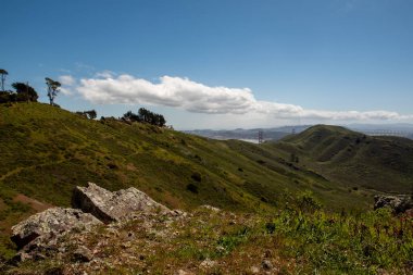 Sausalito 'daki Morning Sun Trail, ABD' den Golden Gate Köprüsü. Güneşli bir günde, bulutsuz ve sissiz.