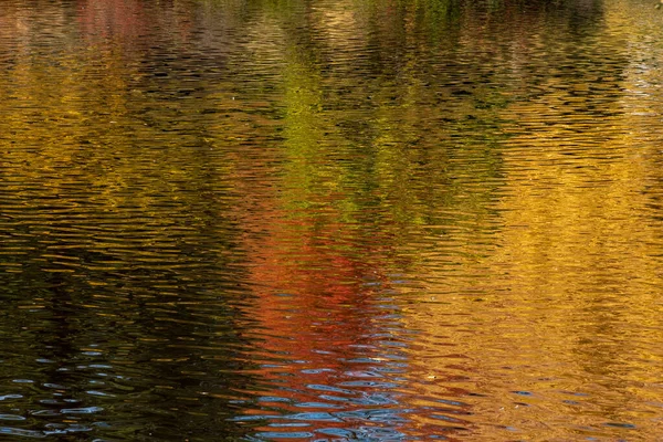 大きな背景と背景のコピースペースに紅葉の反射が見られる抽象的な秋の構図 — ストック写真