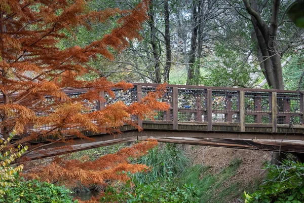 Couleurs Automne Pont Arboretum Davis Dessus Lac Spafford — Photo