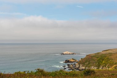 Point Reyes Ulusal Deniz Kıyısı 'ndaki Tomales Point Trail' den deniz manzarası, Marin County, Kaliforniya, ABD, düşük gelgit bulutlu bir günde