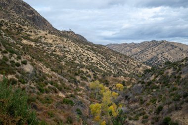 Sonbaharda sarı yapraklı kavak ağaçları Kaliforniya 'daki Stebbins Soğuk Kanyonu' ndaki Blue Ridge patikasındaki nehir bitkisi dağları ve zirveleri barındırıyor.