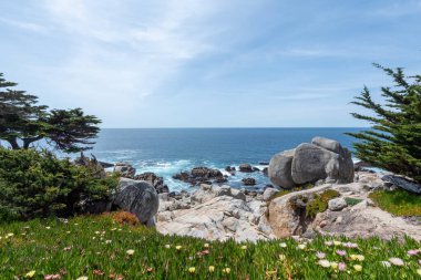 Pasifik Korusu yakınlarındaki Rocky kıyı şeridi, Kaliforniya, ABD, 17 millik sürüş rotasında kaya ve buz fabrikası