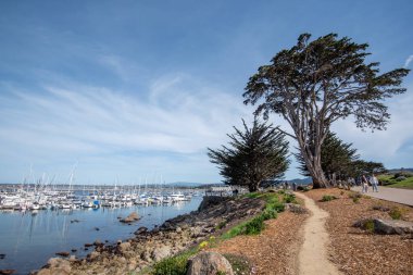 Monterey, CA, USA, 6 Nisan 2025. Monterey Yarımadası dinlenme gezisi şehirde popüler bir turistik merkezdir.  