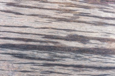 Bu panel daha sonra kurutulur. Yağmurdan sonra ıslanana kadar. Alan henüz kurumadı. Ahşap yüzey çukurlarında su olacak..