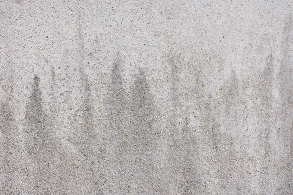Nature Texture Wall Plastered Cement Exposed Moisture Long Time Black — Stock Photo, Image