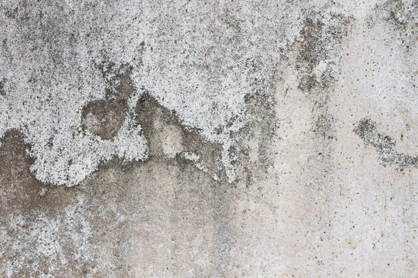 Eski Beton Duvarda Küf Yüzünden Kara Lekeler Var — Stok fotoğraf