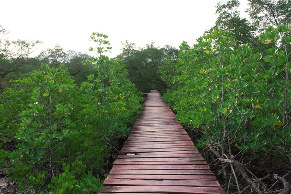 Дерев Яний Міст Побудований Невелика Прогулянка Туристів Щоб Прогулятися Побачити — стокове фото