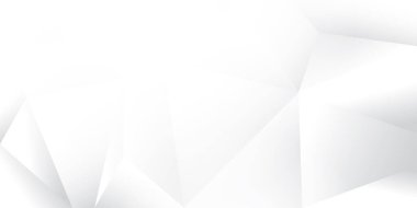 Soyut beyaz ve gri renk, modern tasarım çizgileri düşük polyester desenli arka plan. Vektör illüstrasyonu.