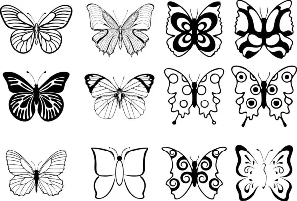 butterfly collection.  set of butterflies  isolated on white.