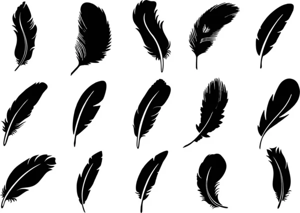 Black Feathers Set Isolated White — Stock Photo, Image