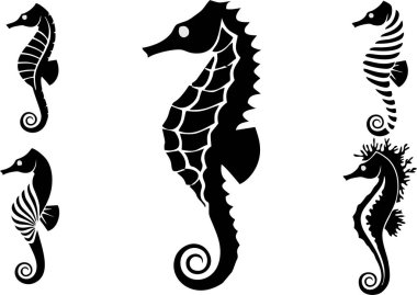 Beyaz arka planda bir takım Karadeniz atları. deniz hayvanları.    