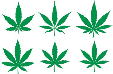 Kenevir yaprakları beyaz arka planda izole. Marihuana, Sativa ve Indica stok görüntüleri. Eğlence bağımlılığı, ilaç imalatı ve tıbbi uyuşturucu kullanımı