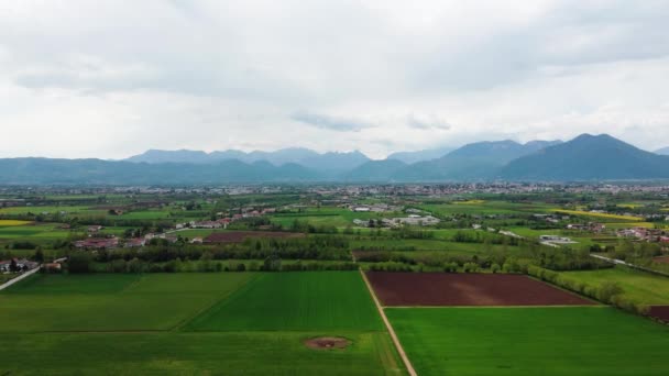春にはイタリアのコムギ畑 ドローンでトップビュー 山の中心部に花のフィールド 小麦の畑 — ストック動画