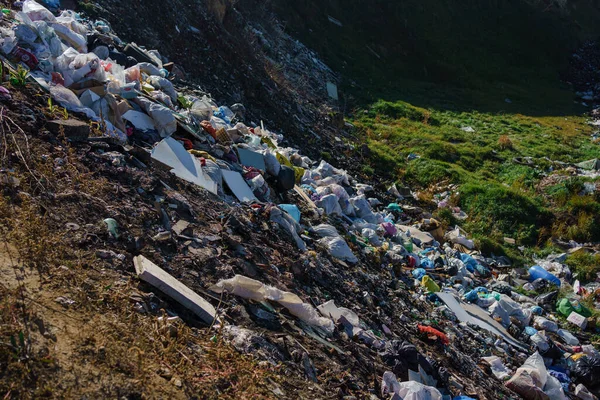 Menschen Werfen Illegal Müll Den Wald Illegale Mülldeponie Der Natur — Stockfoto