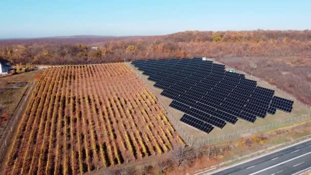 空中展望 太陽光発電所は つるの横に飛んで 太陽と産業のための電気 ソーラーパネルと太陽 空中ドローン写真 — ストック動画