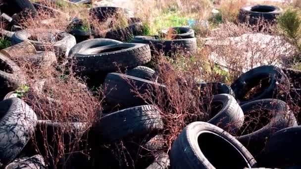 Eski Araba Lastiği Deposu Yığını Bir Yığın Kullanılmış Lastik Hurdalığı — Stok video