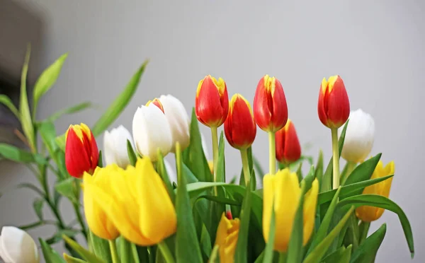 Bunte Blühende Strauß Von Tulpen Frühling Wohnkultur — Stockfoto