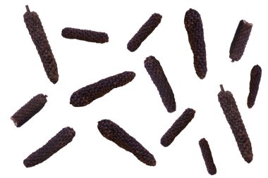 Uzun biber ya da Piper Longum izole arka plan. Baharat, karabiber ya da Çin bitkisi - Uzun Biber, kurutulmuş uzun biber, kavallı sakız Tayland bitkisi ilacında karıştırılmış bir bileşendir.