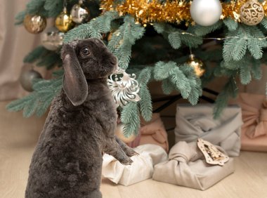 Hayvan herif. Tatil günü. Süslü bir Noel ağacının yanında koyu gri pelüş sevimli bir tavşan iki ayak üzerinde duruyor. 2023 Noel Konsepti Yılın Sembolü.