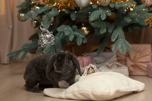 Animal. Symbol of the year. Christmas concept. Holiday. A gray plush decorative rabbit sits on a pillow against the background of a Christmas tree in a home interior.