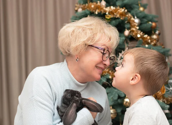 Symbol of 2023. Caucasian Grandmother hugs a small beautiful grandson and gives a rabbit on the background of a Christmas tree. Happy emotions. Close-up. Soft focus.