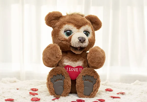 Valentine's day concept. A cute brown teddy bear with big eyes sits on a rug against a window with a bright red heart. Close-up.