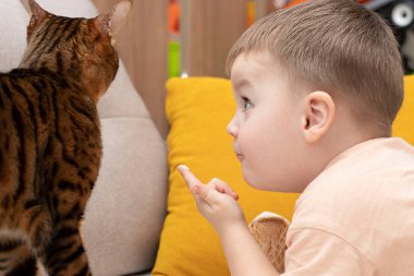 Kafkasyalı şirin çocuk, evcil çizgili kırmızı leopar bengal kedisini ev içi waffle bardağında beyaz dondurmayla besliyor. Yakın plan. Yumuşak odak.
