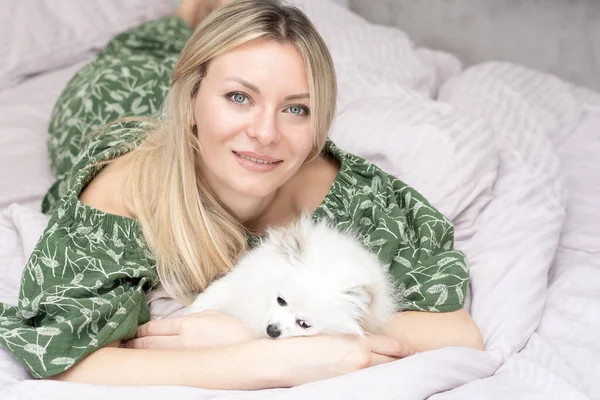 stock image A beautiful young woman lies and plays on a bed in a home interior with a small domestic white and fluffy spitz dog. Concept. Close-up.