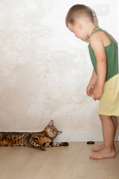 Niño Pequeño Hermoso Años Está Divirtiendo Jugando Con Gato Bengala — Foto de Stock
