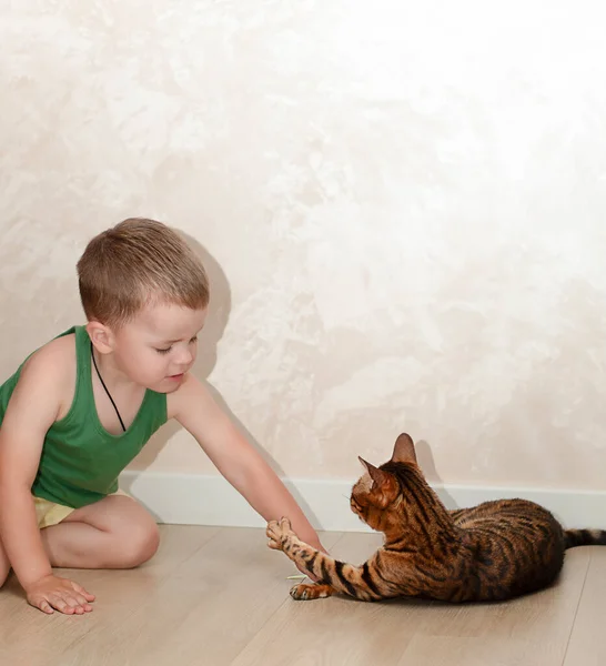 Niño Pequeño Hermoso Años Está Divirtiendo Jugando Con Gato Bengala — Foto de Stock