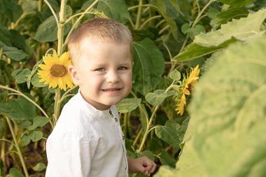 Ayçiçekli çocuk. Küçük mutlu ve güzel bir çocuğun portresi, beyaz gömlekli, 4 yaşında, yazın sarı ayçiçekli bir tarlada. Yakın plan. Çocukluk konsepti. Ukrayna 'nın sembolü. Huzurlu